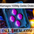 Kamagra 100Mg Gelée Orale 04